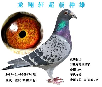 �������Ǳȡ������