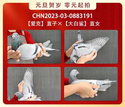 ������ҵ---����˹.�ղ���191   ��	