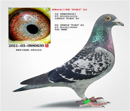 ����003ֱ��X���¡��λ���ԡ�ֱŮ