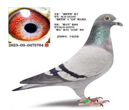 ������������ֱ��X��ŷԪ��ֱ��Ů