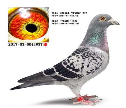 ���Ǹ�ҵ����ȱ�ݡ�ֱ��X����ȱ�ݡ�ֱŮ