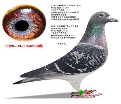 ���š�Ұ����ֱ��X������ֱŮ