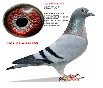 �Ƽ�.��.������˹X�������޵С�����ֱ��