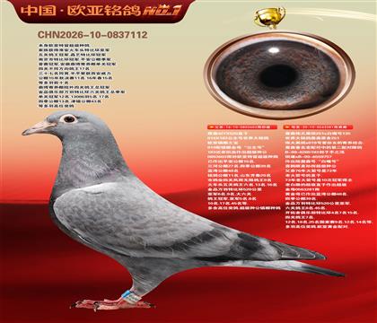 ղɭ919ֱ��603Xΰ��ڰ�281