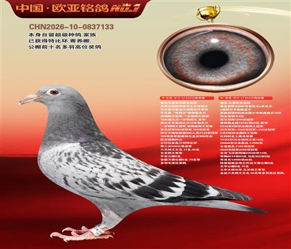 �Ͽ˷��ǲ���ԭ��440X�ƽ��ŷ40000��