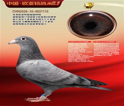 ղɭԭ�ᡰ�����š�131XֱŮ653