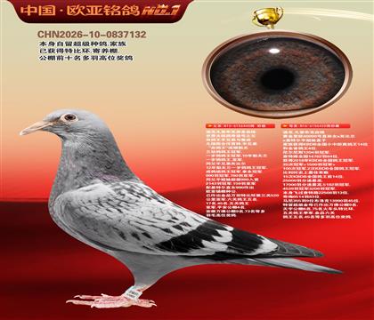 �Ͽ˷��ǲ���ԭ��440X�ƽ��ŷ40000��