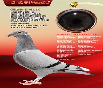 ����ɣ��ʿ048X�ƽ����ֱŮ488