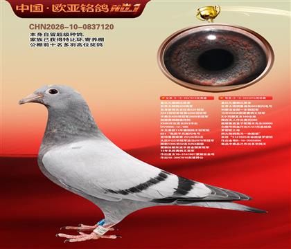 �Ǳ�.�����ɱ�ԭ��810X896