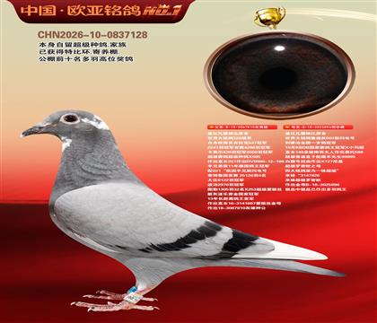 �Ǳ�.�����ɱ�ԭ��810X896