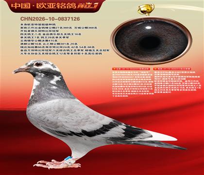 ����614X061ֱ��447X018X061ֱŮ314����