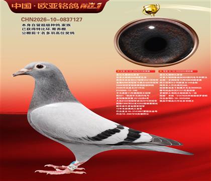 �Ǳ�.�����ɱ�ԭ��810X896