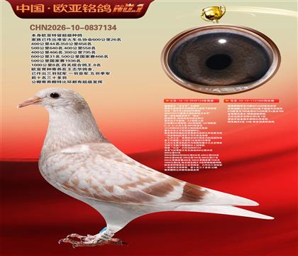 ղɭ�������Ĺڸ�������124X919ֱŮ080