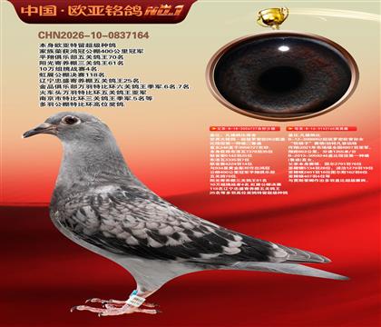 �Ǳ�ԭ������ŷֱ��727X����ŷֱ��Ů165