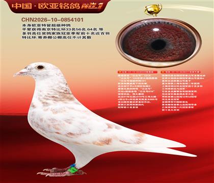 ղɭ131ֱ��349X̩ɽ��311�ƽ����