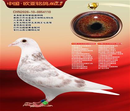 ��������ȫ���ھ�̩ɽ�Ŷ��ؽ���419X076