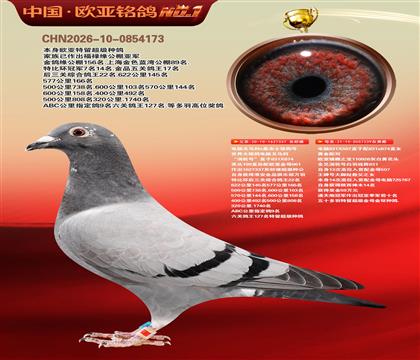 ����614X061ɣ��ʿֱ��337X����926ֱŮ239