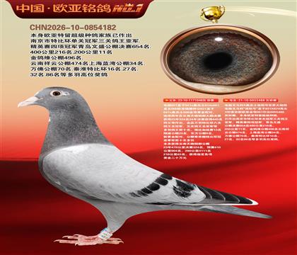 ����ɣ��ʿ048X�ƽ����ֱŮ488