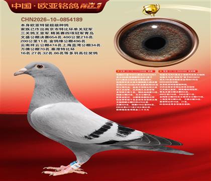 ����ɣ��ʿ048X�ƽ����ֱŮ488