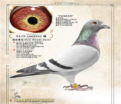 ���Ϻ����ˡ�����5�θ�λ����