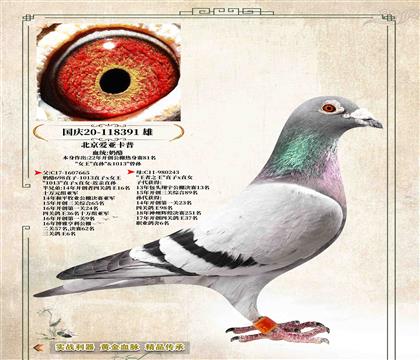 �����ǿ��ա�1013��Ů����ֱ��391