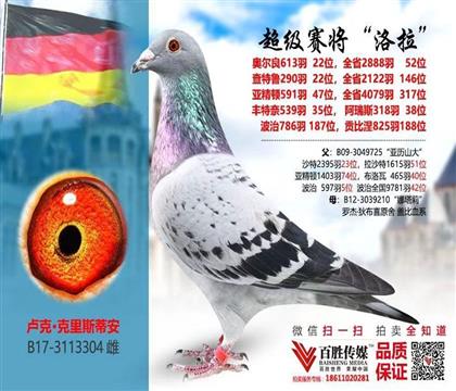 ¬�ˡ�����˹�ٰ�ԭ�Ἠ�Ÿ�304