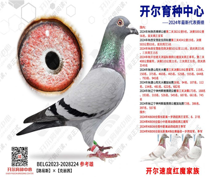 ����������ԭ���ָ룺����˹�°Ϳ� ·��˹X������224