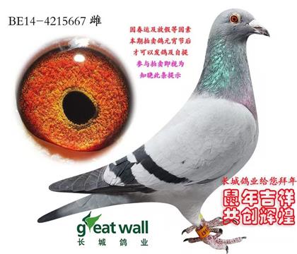 �¸��׵�ֱŮ��������߱���