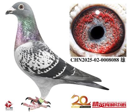 �������롰��ѻ��ض���ֱ��