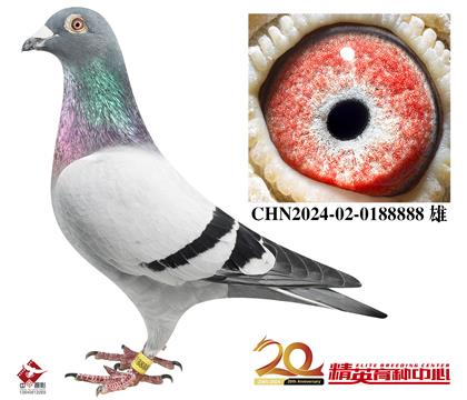 ���Ҵ������롰�����ж���ֱ��