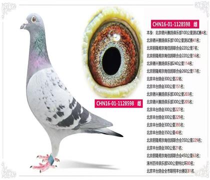 ����ȫ�������̨����81��