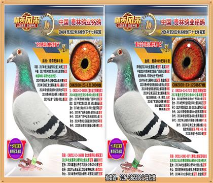 500����˫�ظ����Ǿ�.ͨ�ڹھ�ͬ��ĸȫ��