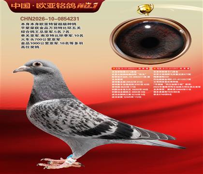 ��˹����ԭ��211X077