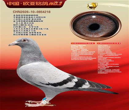 �Ǳ�.�����ɱ�ԭ��998X199