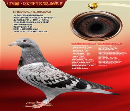 ����506X��713ֱ��757X����851X818ֱŮ697