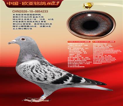 ����506X��713ֱ��757X����851X818ֱŮ697