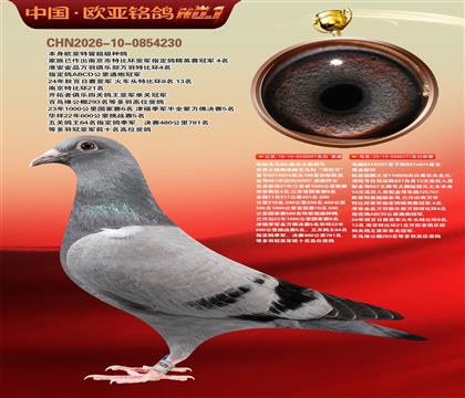 ����097������1500����4��Xɣ��ʿ777