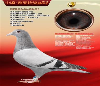 ����Xɣ��ʿ116X����926ֱŮ457