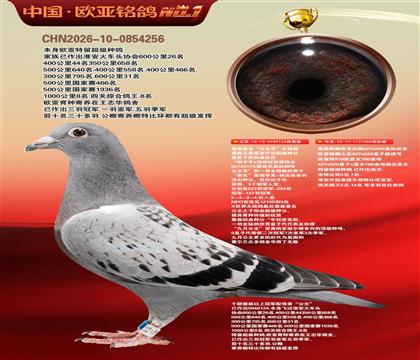 ղɭ�������Ĺڸ�������124X919ֱŮ080