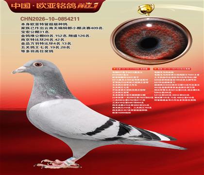 ����ɣ��ʿ048X���Ը�����453