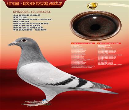 �Ƕ���˹����ԭ��987X��˹��ԭ��760