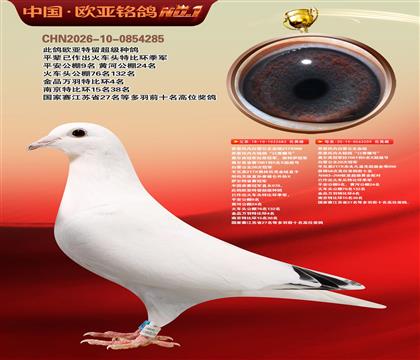 ��˹���ڰ�ѩ����683X209