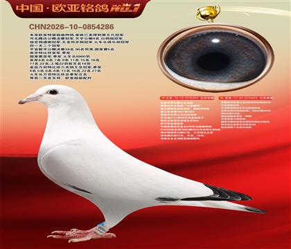 ��˼���ڰ�ѩ����ԭ��294X623