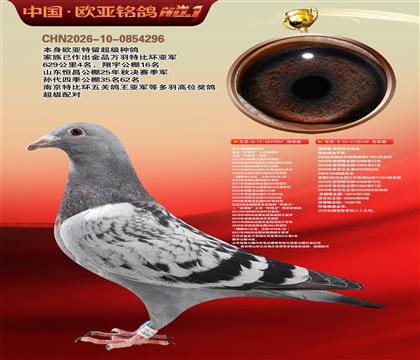 �Ƕ���˹����ԭ��987X��˹��ԭ��760