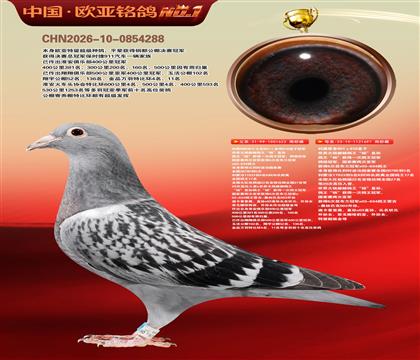 ����851ֱ��622�ھ�X����851X818ֱŮ697