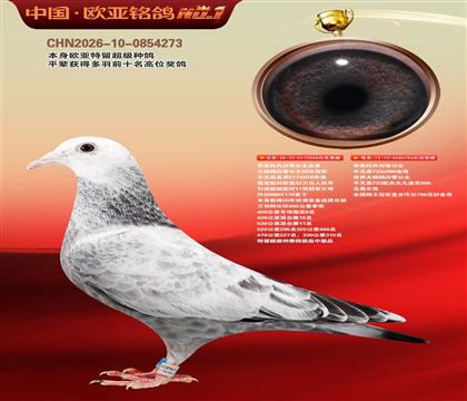 ��˼���ڰ�ѩ����058X796