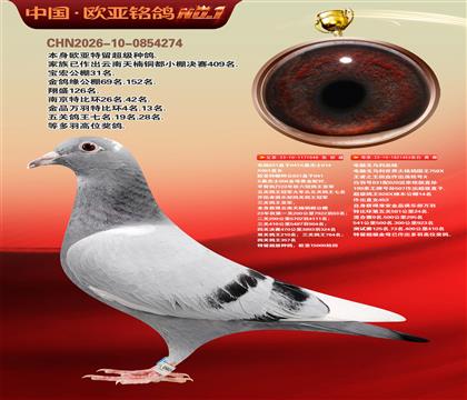 ����ɣ��ʿ048X���Ը�����453