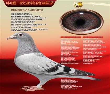 ����851ֱ��622�ھ�X����851X818ֱŮ697