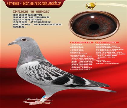 ����ԭ��220X���������۴�003