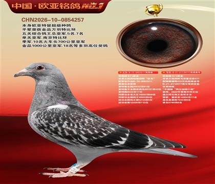 ����ԭ��211X077